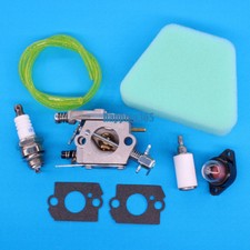 Vergaser + Luftfilter für