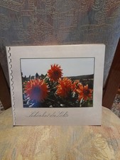 Schönheit des Lichts