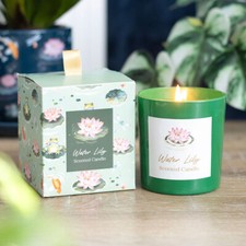 Wasserlilie Seerose Candle