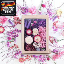 Trockenblumen Set für DIY