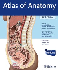Atlas of Anatomy | Anne M