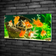 Glas-Bild Wandbilder Druck auf