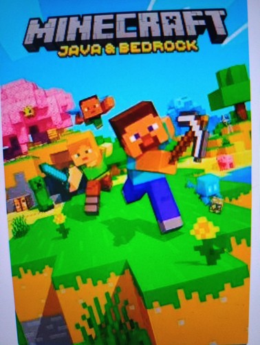 Minecraft java bedrock - java, &