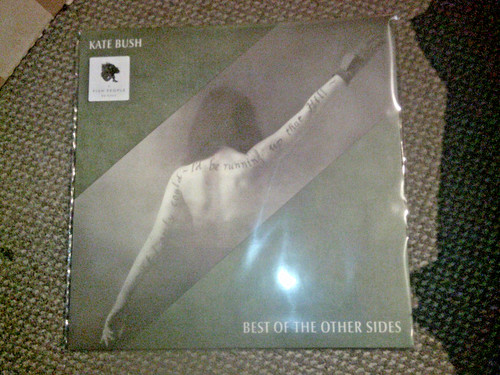 Kate bush best the other - kate,