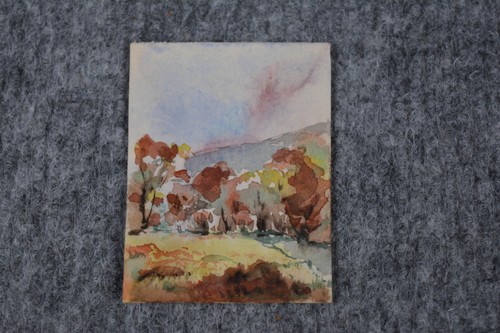 Hans goller miniatur - hans,