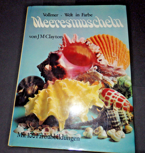 Bildband meeresmuscheln j - meeresmuscheln,