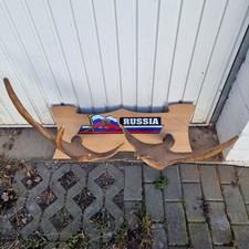 Elch Geweih zu verkaufen 