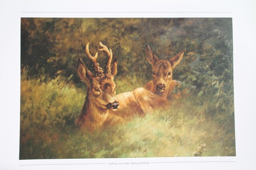 Rehbock ricke kunstdruck x - rehbock,