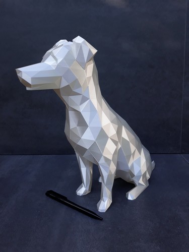 Jack russell terrier - russell,
