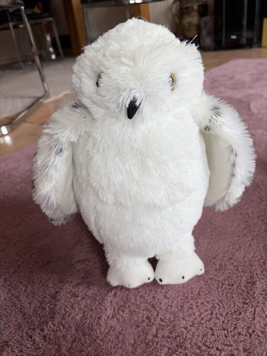 Harry potter hedwig - harry,