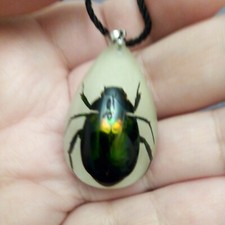 Grün schillernder Skarabäus