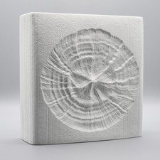 Martin Freyer Rosenthal Studio Line Bisque Porcelain Vintage H 24 cm Fossil Vase