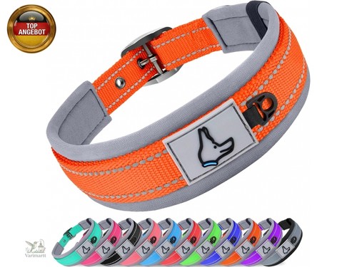 Joytale halsband hund - halsband, hund,