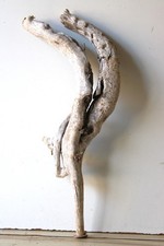 Treibholz Schwemmholz