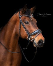 Trense black sis glitzer - trense,