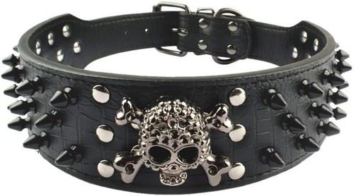 Hundehalsband mit scharfen