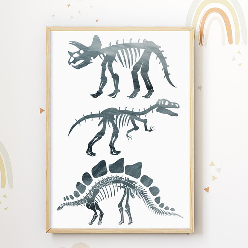 Dinosaurier skelett bild - dinosaurier,