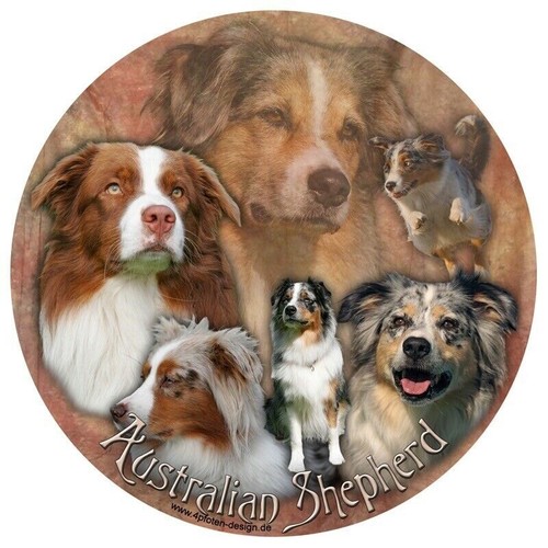 Australian shepherd - australian,