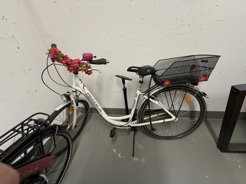 Damenrad pegasus zoll - 28,
