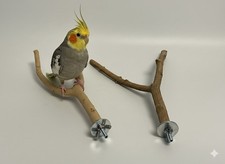 4 Sitzstangen für Vögel