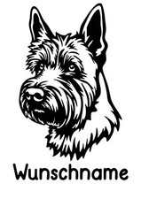 Autoaufkleber / Sticker /