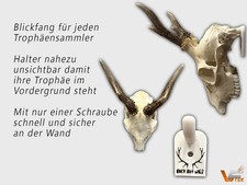 5x Wand Halterung Jagd Trophäe Geweih Schädel Rehbock Bock auf Wild