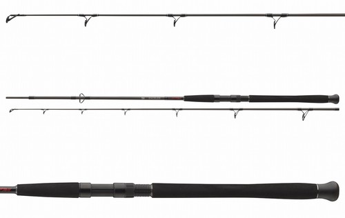 Daiwa exceler catfish spin - catfish,
