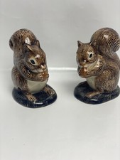 Rotes Eichhörnchen Salz und