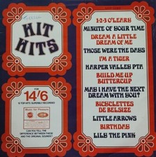 Unknown-Hit Hits Vinyl LP