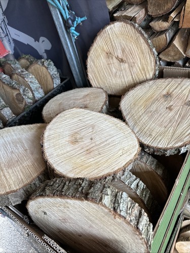 Baumscheiben holzscheiben - baumscheiben,