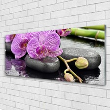 Glasbilder Wandbild Druck auf