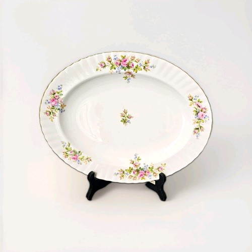 Alte royal albert moss rose - royal,