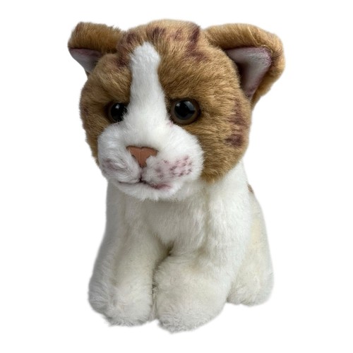 Katze kuscheltier plüsch - kuscheltier,
