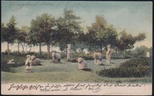 Kiautschou Tsingtau Postkarte nach Kiel