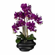 Künstliche Orchidee 75cm in