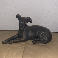 Windhund Greyhound Galgo