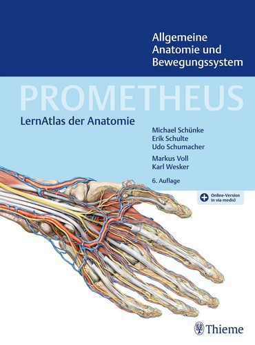 Prometheus allgemeine anatomie - prometheus,