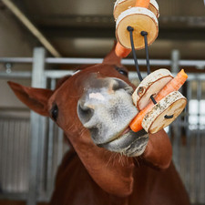 Pferdespielzeug – Spielzeug für Pferde gegen Langeweile – Pferdebeschäftigung
