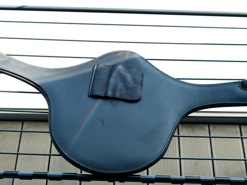 Passier ledersattelgurt 155cm - passier,