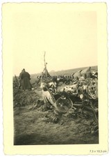 Orig. Foto englische RAF