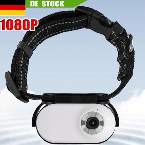 Katzen kamera halsband - katzen,
