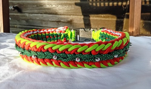 Schmuck hundehalsband mit - schmuck,