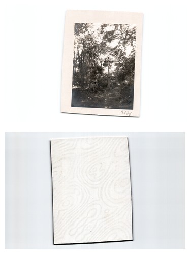 Garten danzig - (b77668a676),