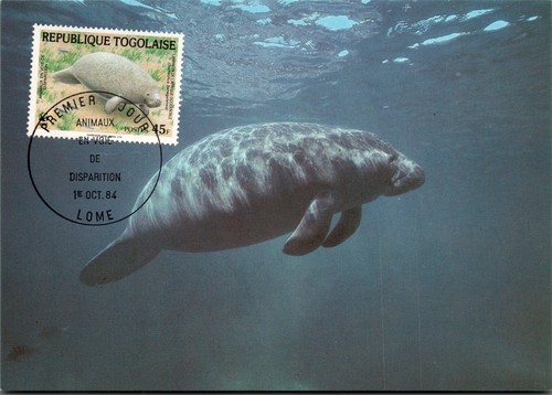 Wwf der nagel manati - der, nagel-manati