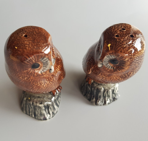 Wachtel schleiereule vogel - wachtel,