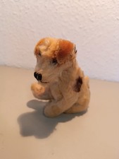 Sehr alter Steiff Hund Molly