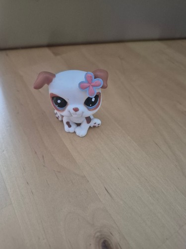 Littlest pet shop bulldogge - pet,