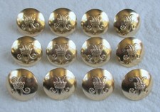 12x Britisch: "WOMEN'S ROYAL