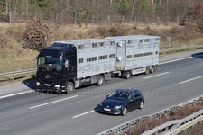 LKW Foto Mercedes-Benz Actros Viehtransporter Deutschland schwarz #l4ed