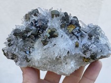 Quarz, Pyrit, Sphalerit, Baia Mare, Rumänien,  14 x 7,5 cm